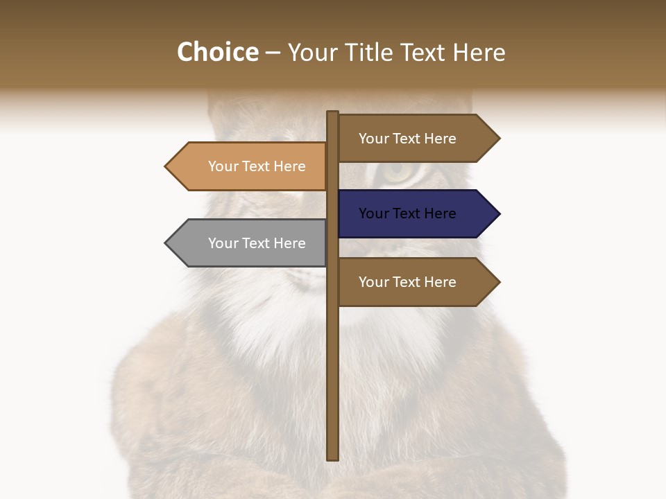 Eurasian Lynx PowerPoint Template