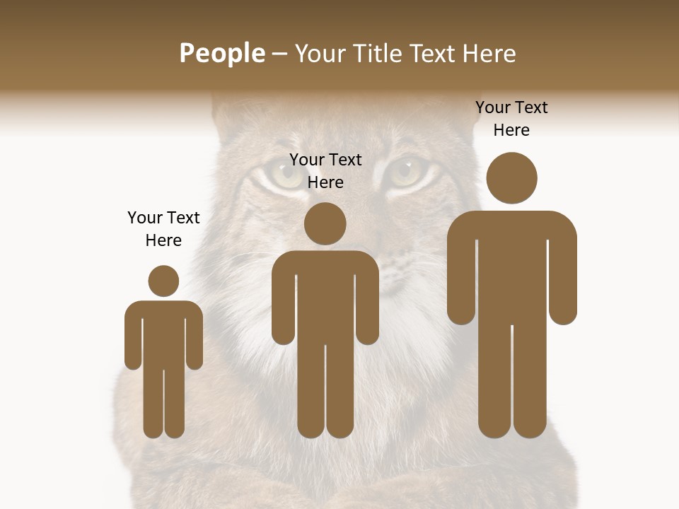 Eurasian Lynx PowerPoint Template