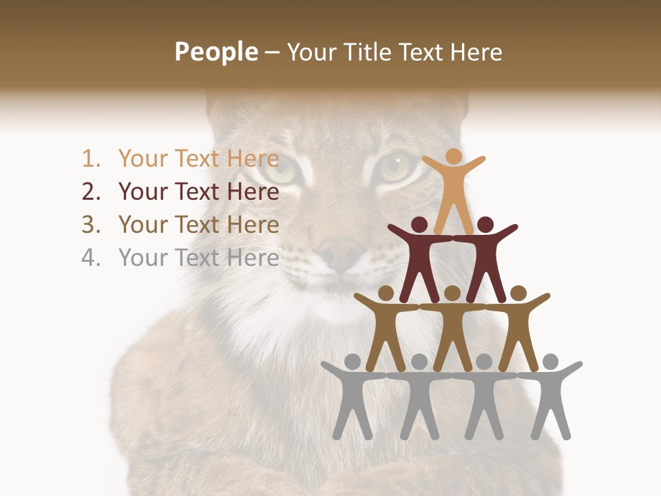 Eurasian Lynx PowerPoint Template