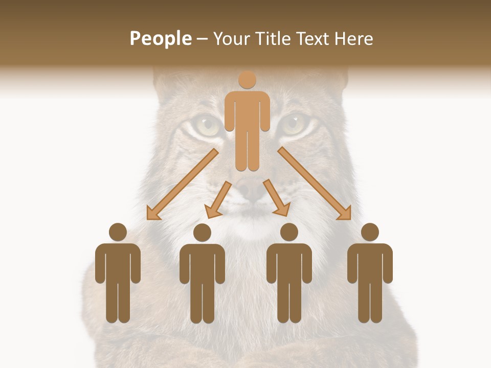 Eurasian Lynx PowerPoint Template