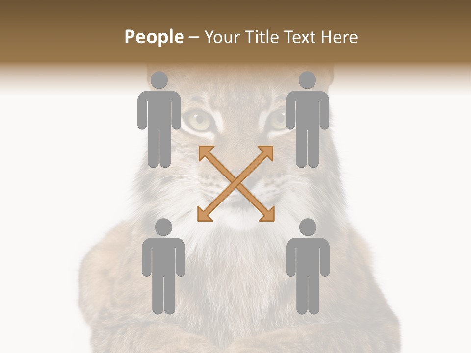 Eurasian Lynx PowerPoint Template