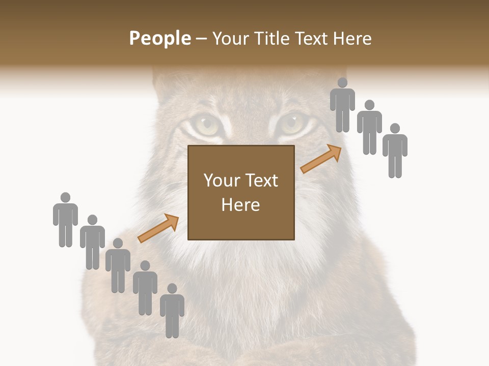 Eurasian Lynx PowerPoint Template