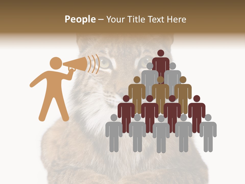 Eurasian Lynx PowerPoint Template