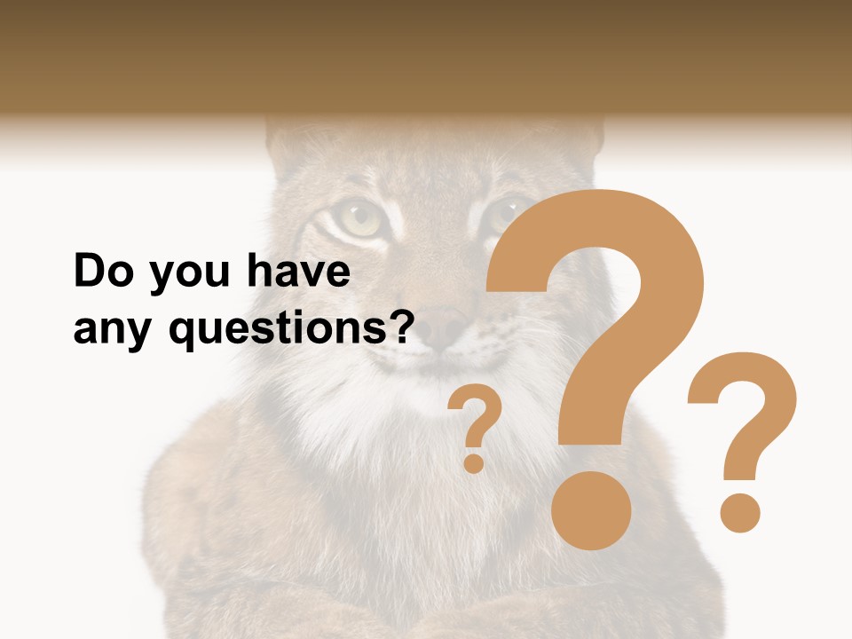 Eurasian Lynx PowerPoint Template