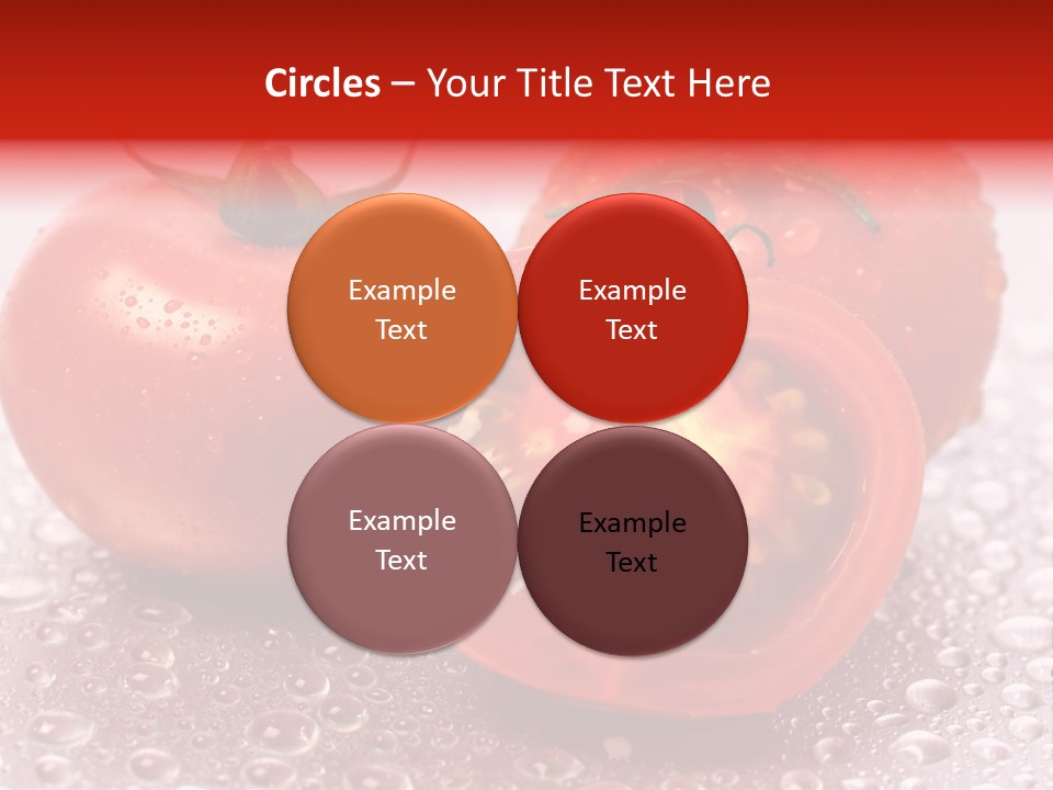 Nobody Halve Drink PowerPoint Template