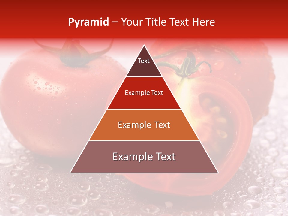 Nobody Halve Drink PowerPoint Template