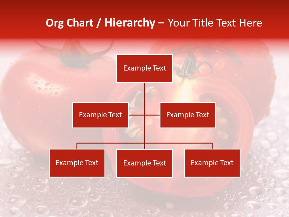 Nobody Halve Drink PowerPoint Template