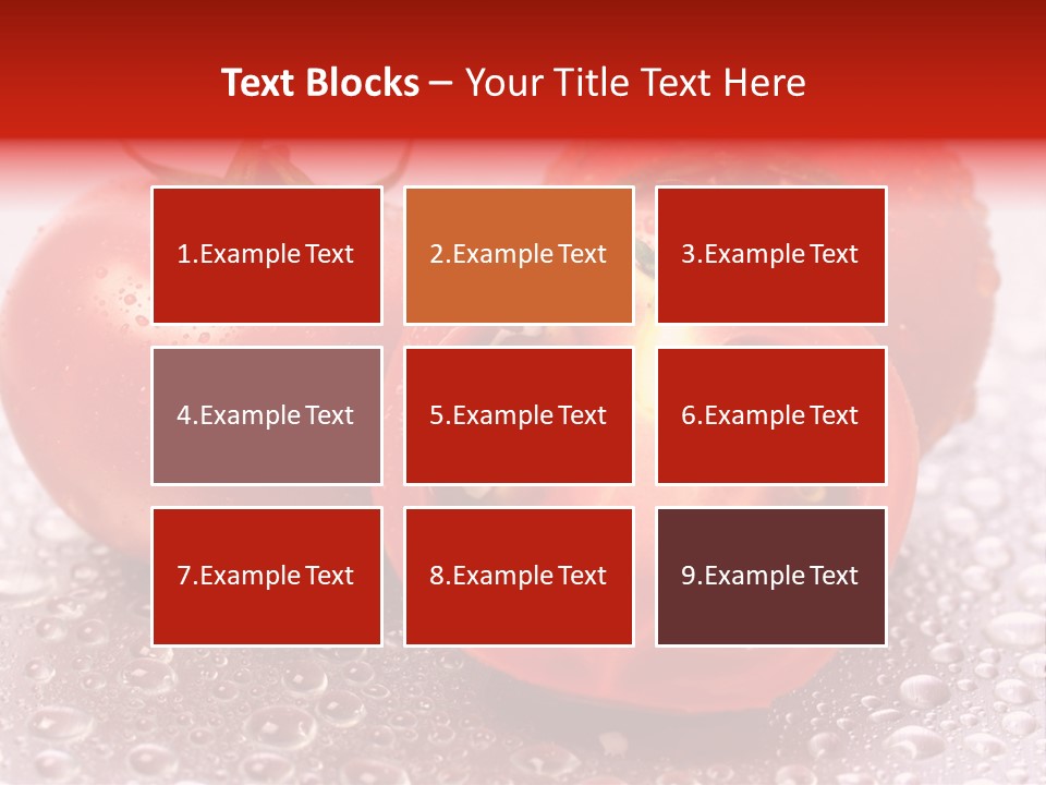 Nobody Halve Drink PowerPoint Template