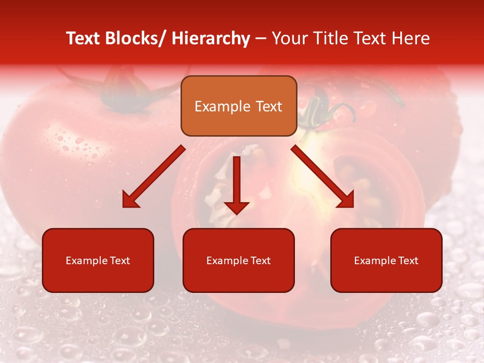 Nobody Halve Drink PowerPoint Template