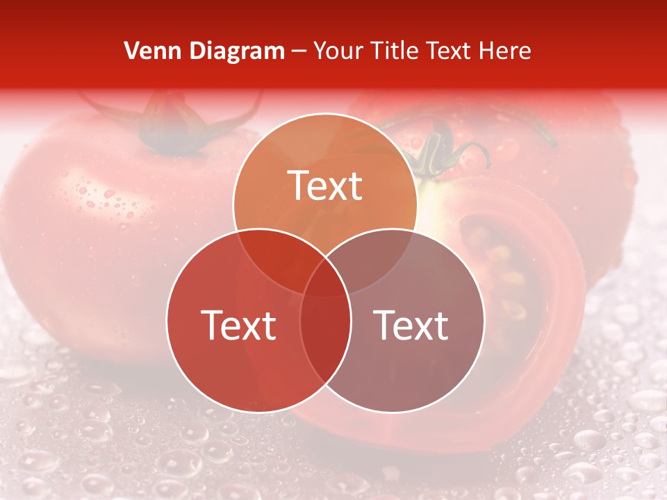 Nobody Halve Drink PowerPoint Template