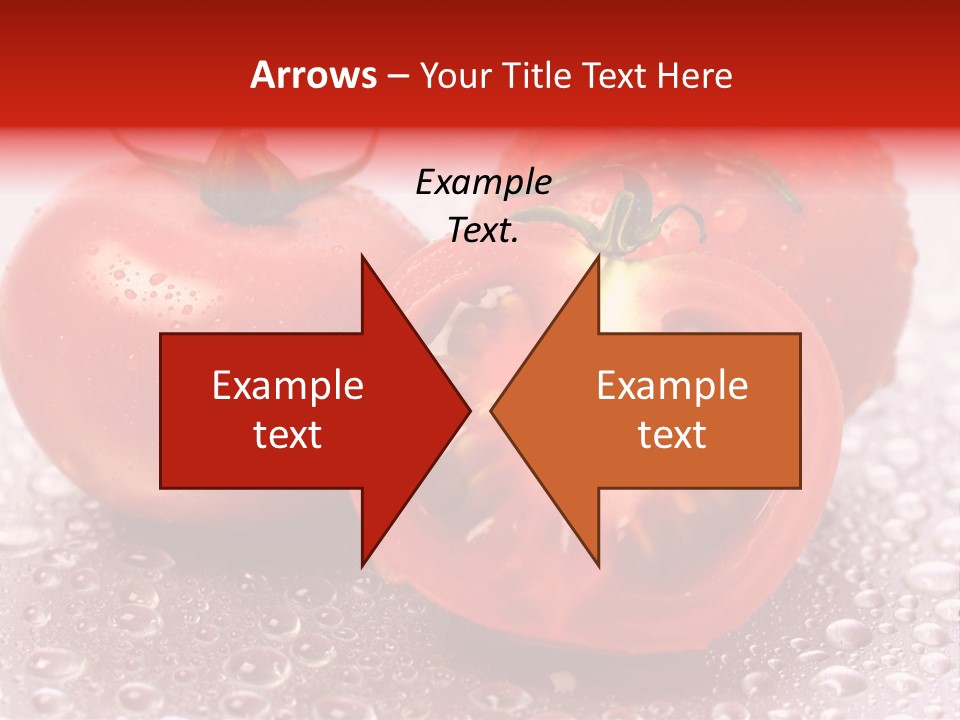Nobody Halve Drink PowerPoint Template