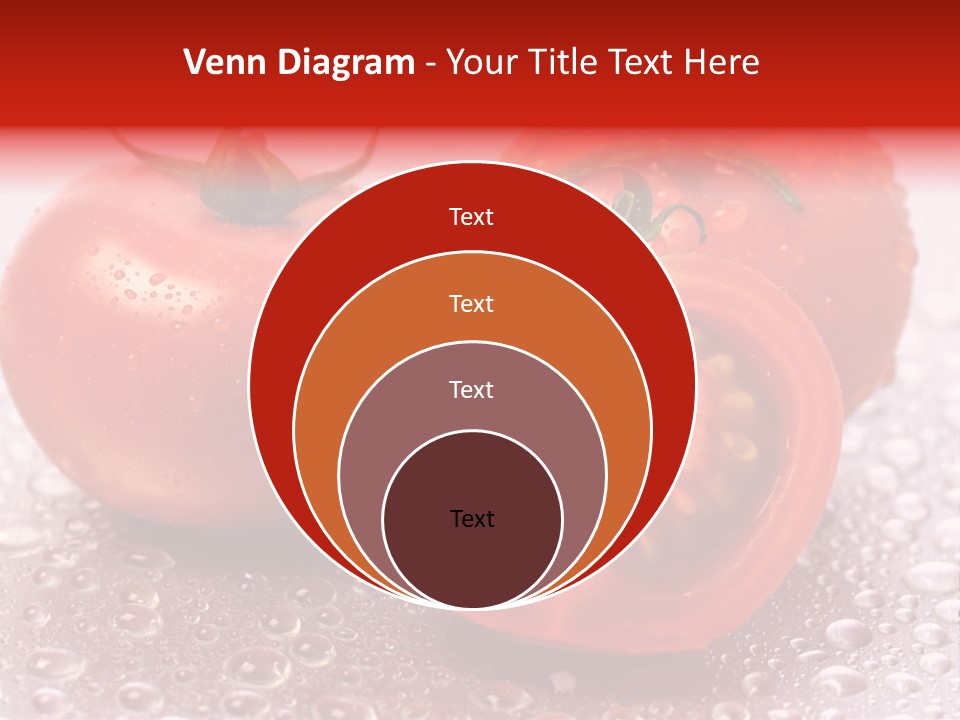 Nobody Halve Drink PowerPoint Template