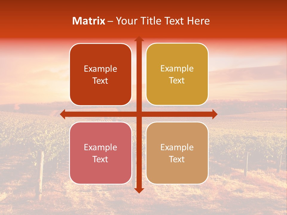 Vineyard Sunset PowerPoint Template