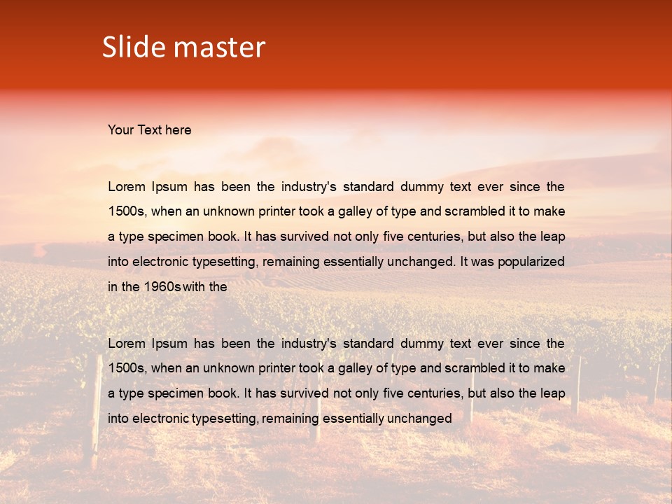 Vineyard Sunset PowerPoint Template