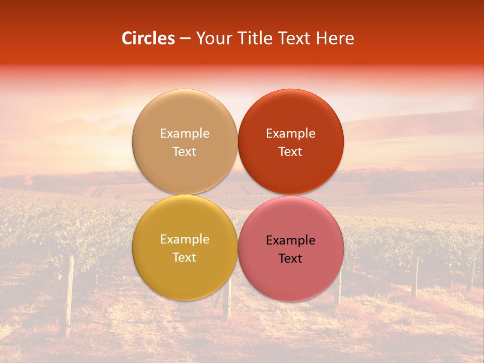 Vineyard Sunset PowerPoint Template
