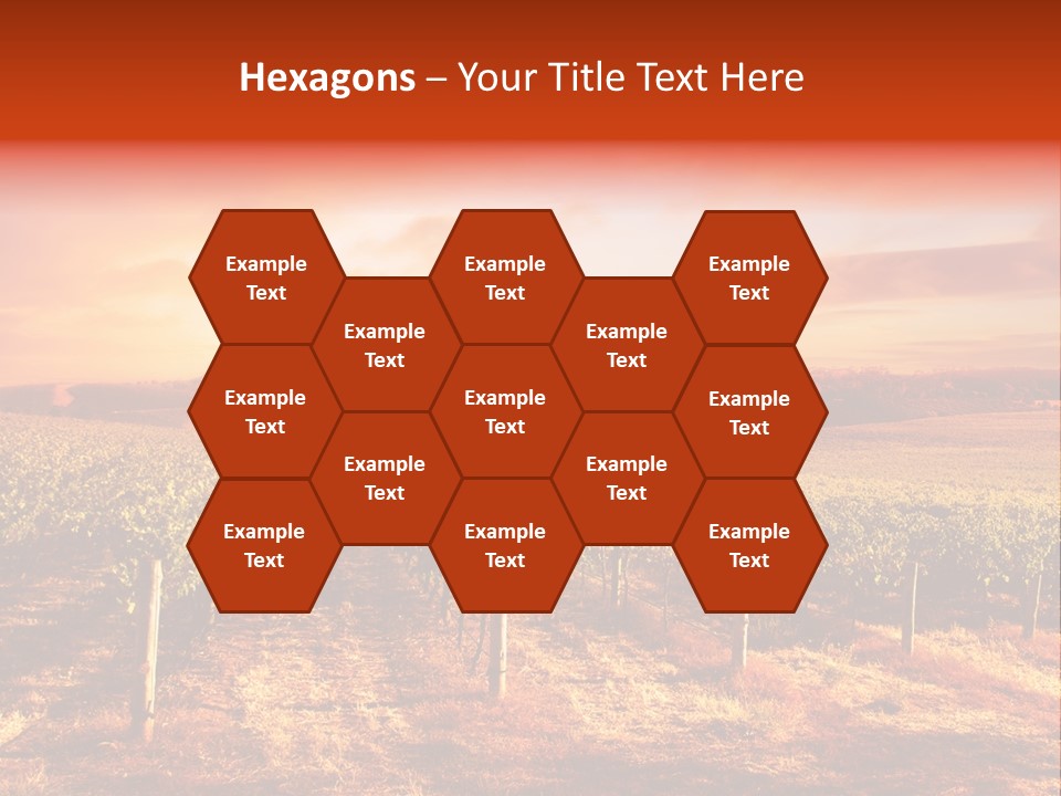 Vineyard Sunset PowerPoint Template