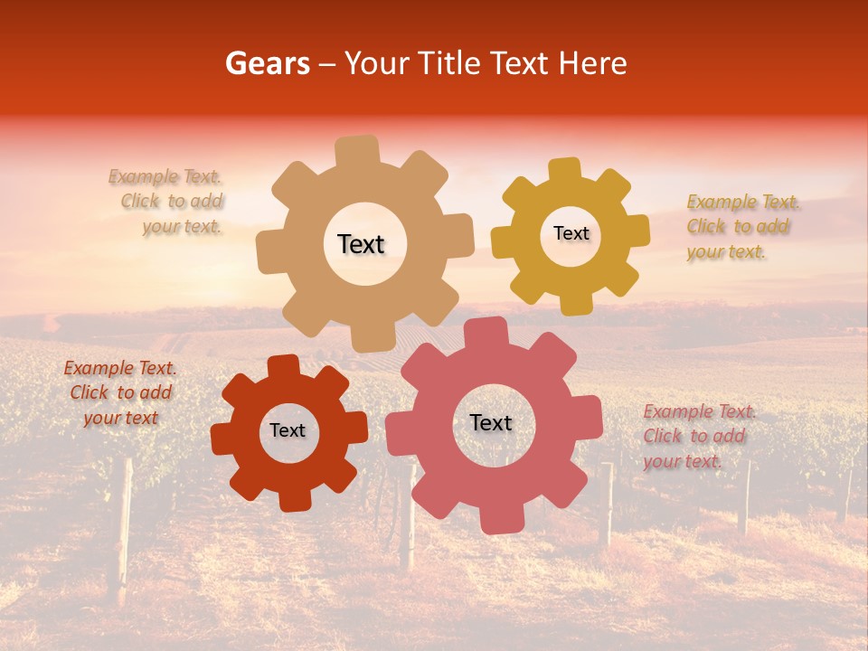 Vineyard Sunset PowerPoint Template