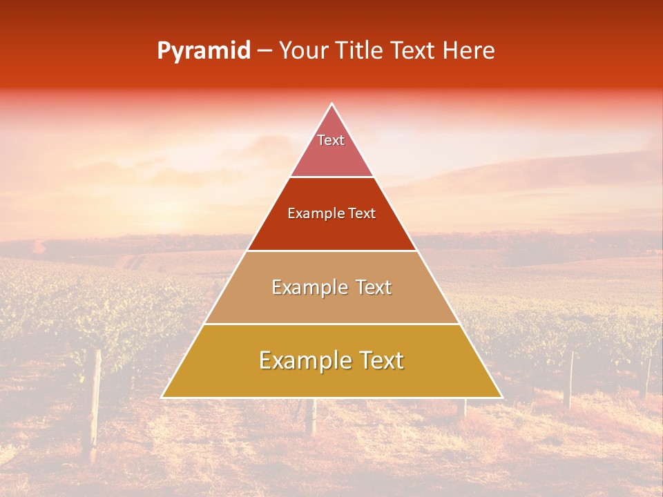 Vineyard Sunset PowerPoint Template