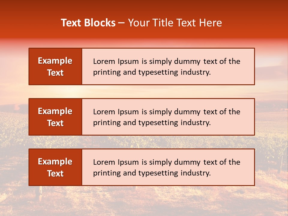 Vineyard Sunset PowerPoint Template
