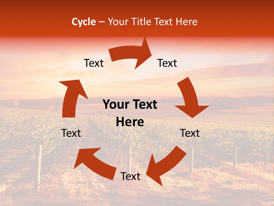 Vineyard Sunset PowerPoint Template