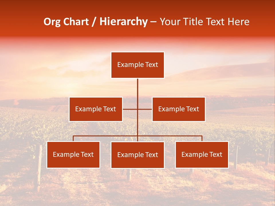 Vineyard Sunset PowerPoint Template