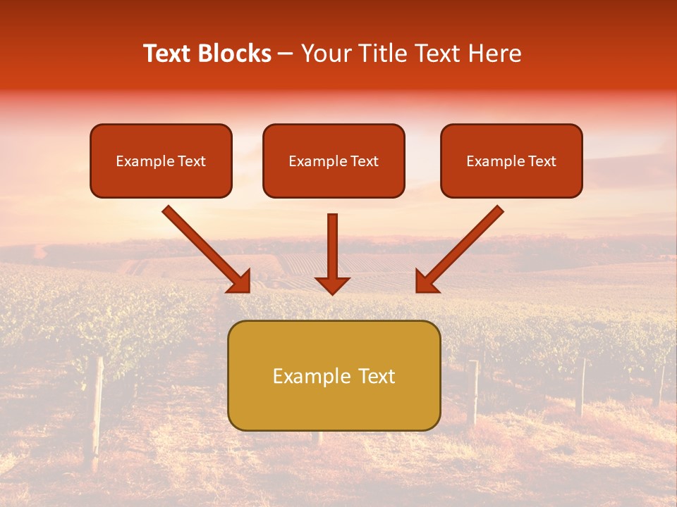 Vineyard Sunset PowerPoint Template