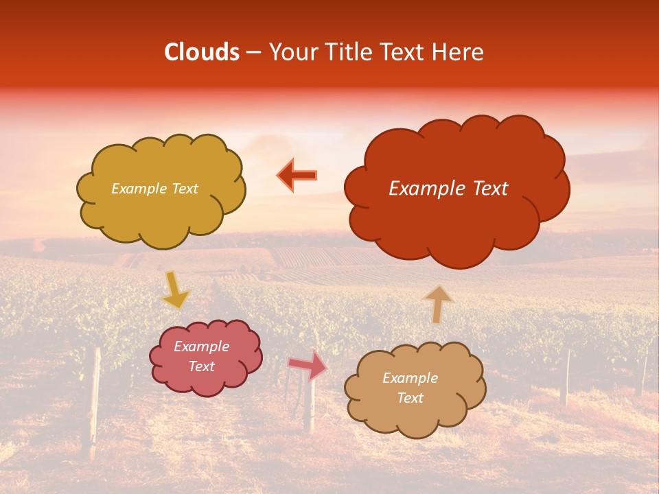 Vineyard Sunset PowerPoint Template