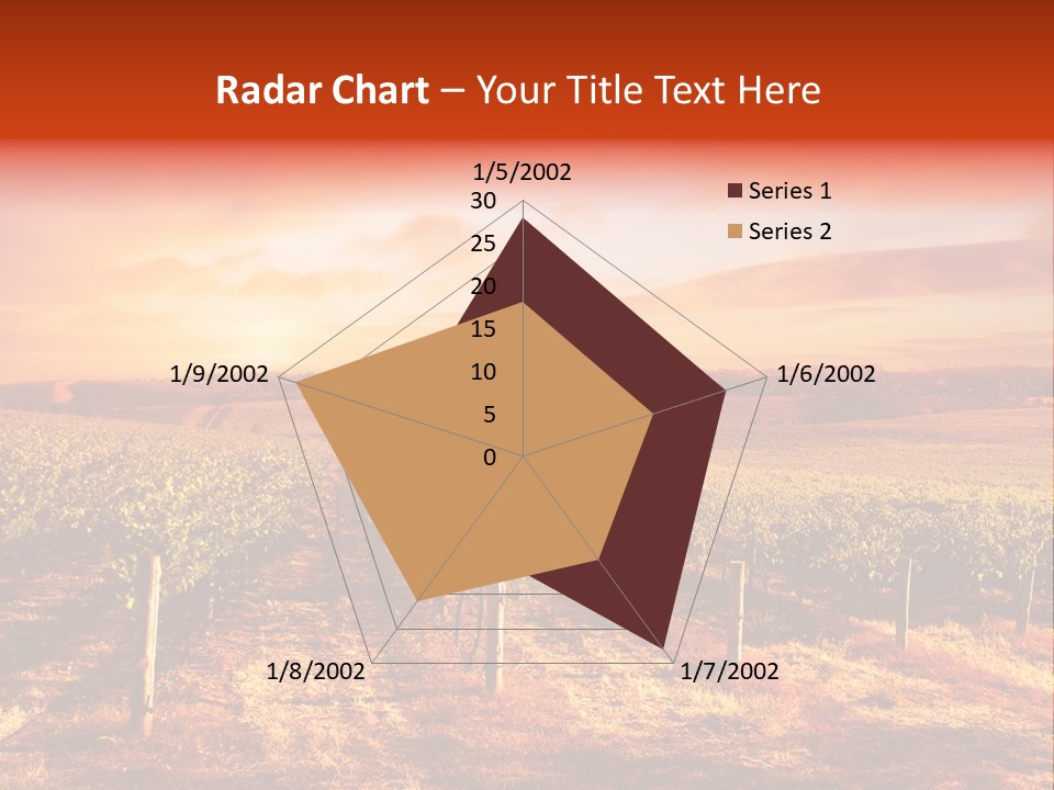 Vineyard Sunset PowerPoint Template