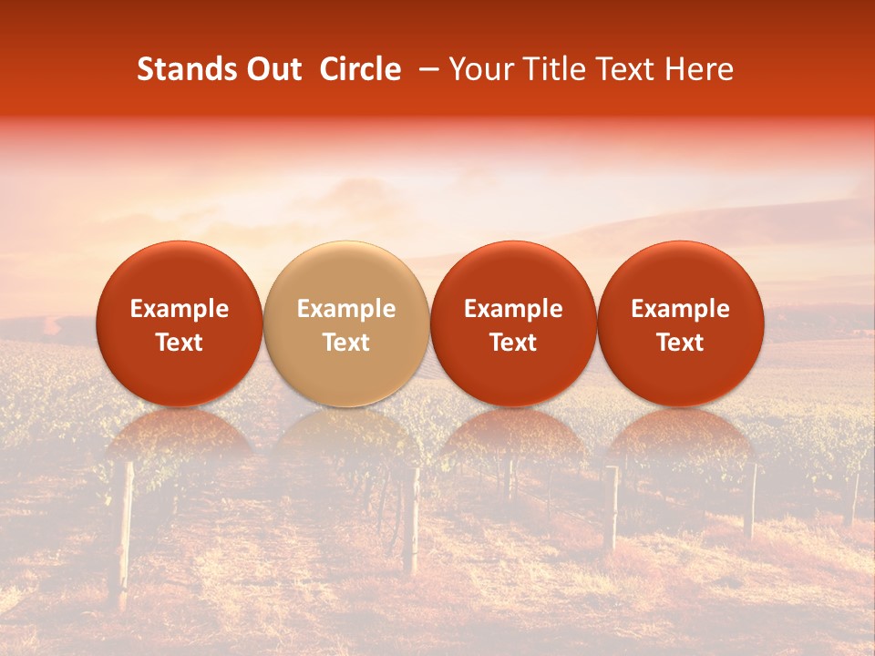 Vineyard Sunset PowerPoint Template