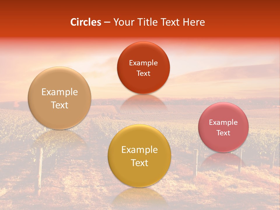 Vineyard Sunset PowerPoint Template