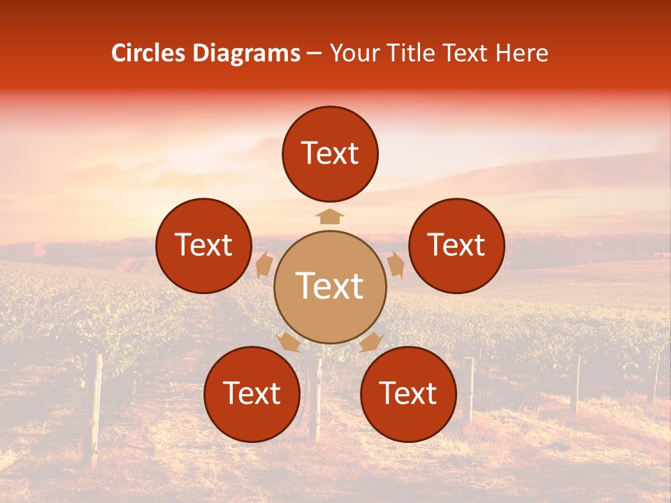 Vineyard Sunset PowerPoint Template