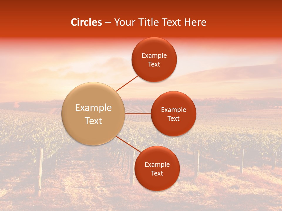 Vineyard Sunset PowerPoint Template