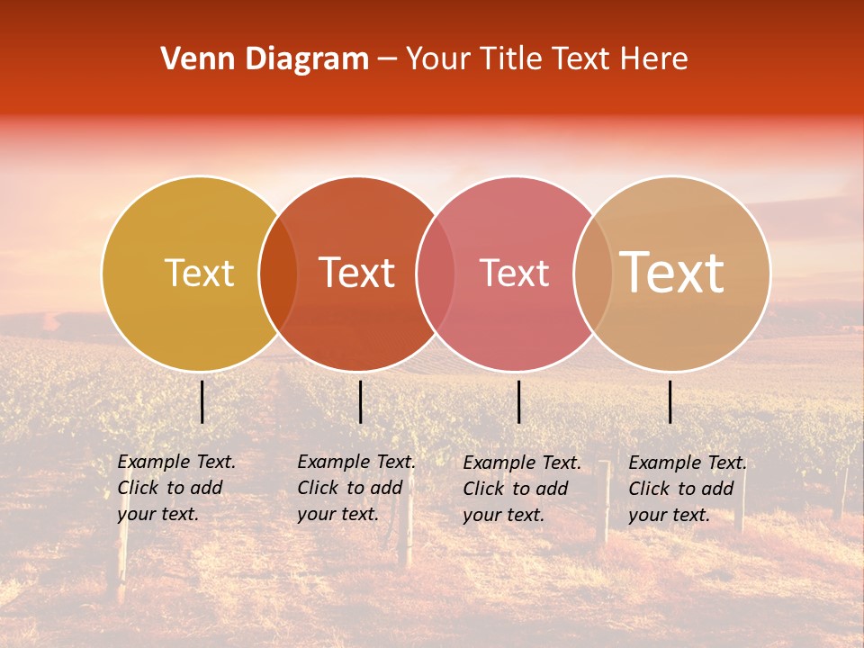 Vineyard Sunset PowerPoint Template