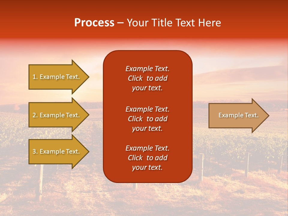 Vineyard Sunset PowerPoint Template