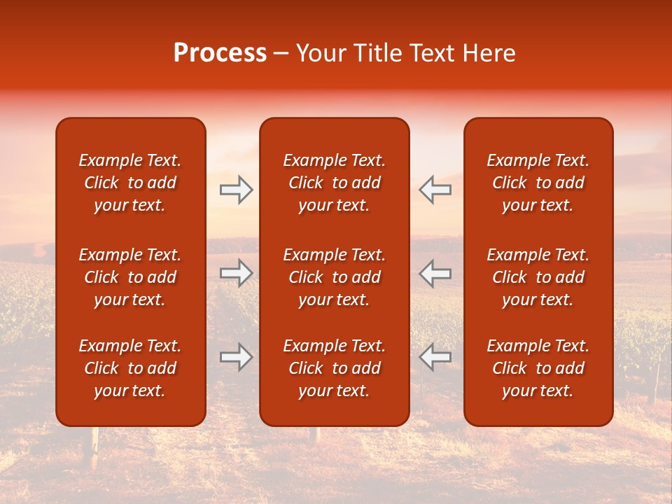 Vineyard Sunset PowerPoint Template