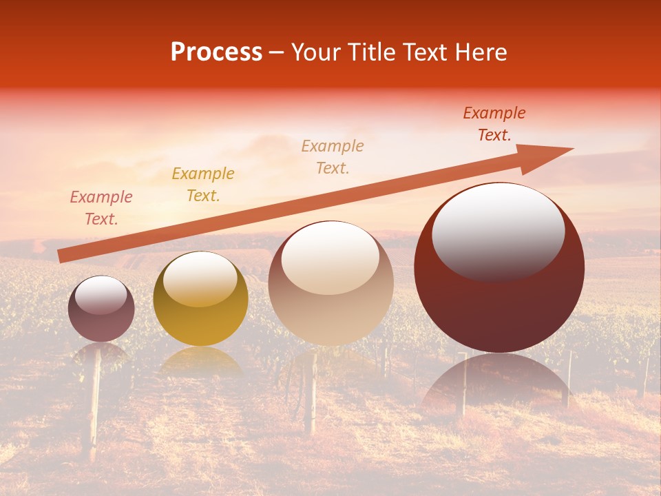 Vineyard Sunset PowerPoint Template