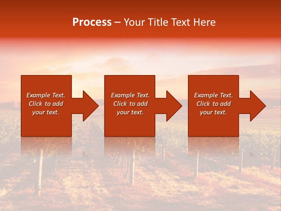 Vineyard Sunset PowerPoint Template