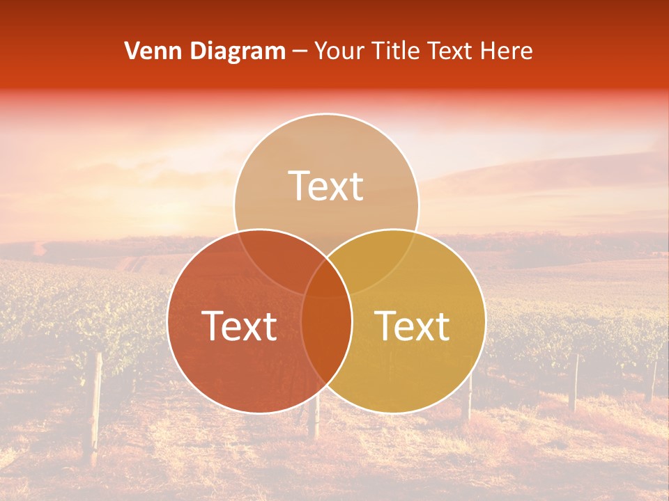 Vineyard Sunset PowerPoint Template
