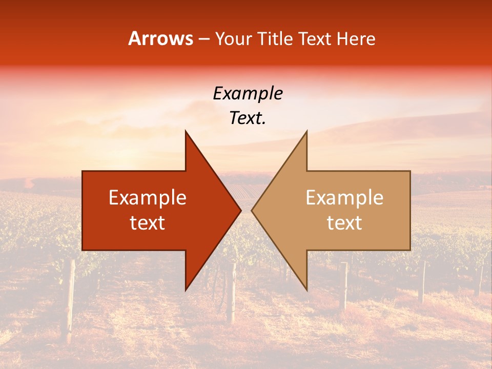 Vineyard Sunset PowerPoint Template