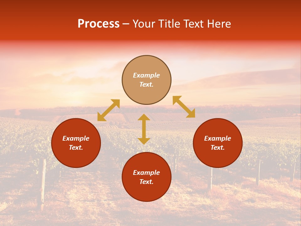 Vineyard Sunset PowerPoint Template