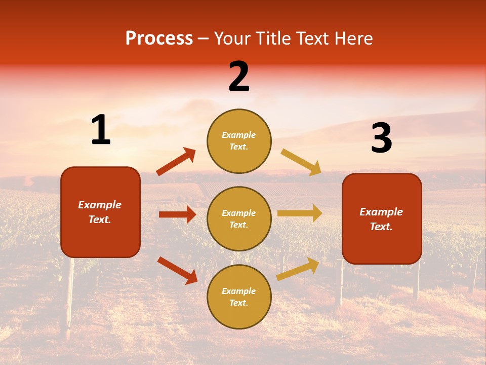 Vineyard Sunset PowerPoint Template