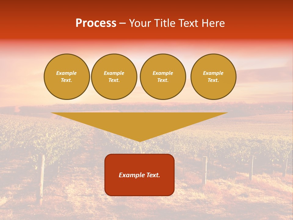 Vineyard Sunset PowerPoint Template