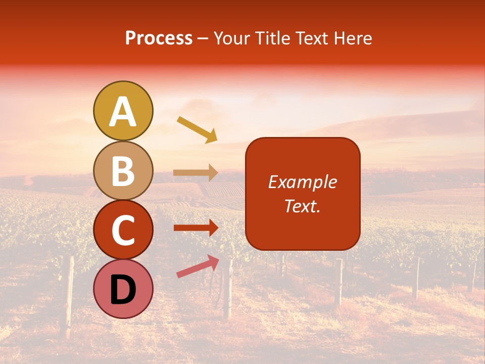 Vineyard Sunset PowerPoint Template