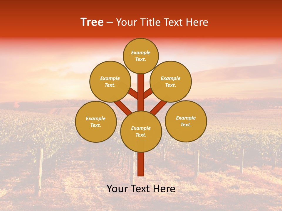 Vineyard Sunset PowerPoint Template