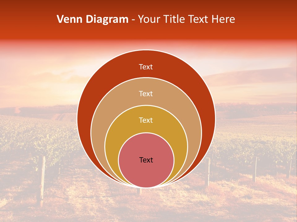 Vineyard Sunset PowerPoint Template