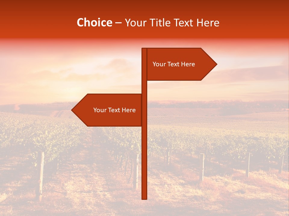 Vineyard Sunset PowerPoint Template
