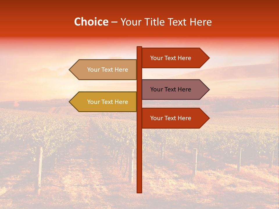 Vineyard Sunset PowerPoint Template