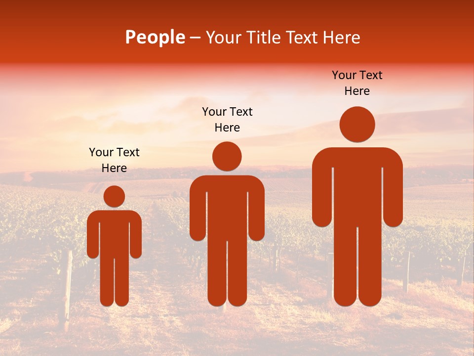 Vineyard Sunset PowerPoint Template