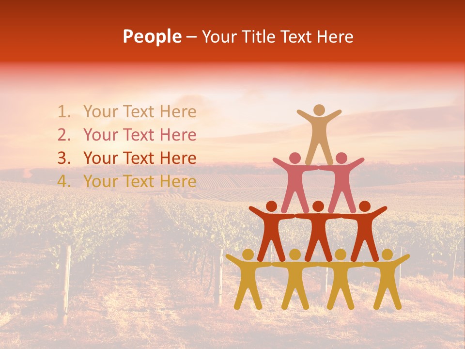 Vineyard Sunset PowerPoint Template