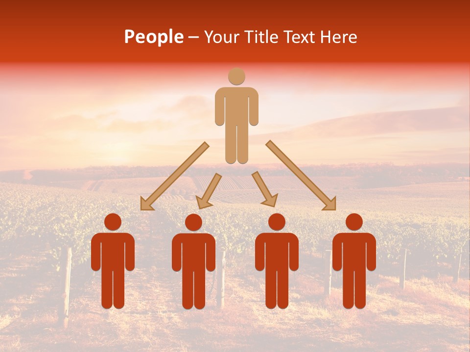 Vineyard Sunset PowerPoint Template